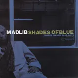 Madlib Shades of Blue Vinyl